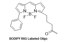 Bio-Synthesis Inc. Oligo Structure